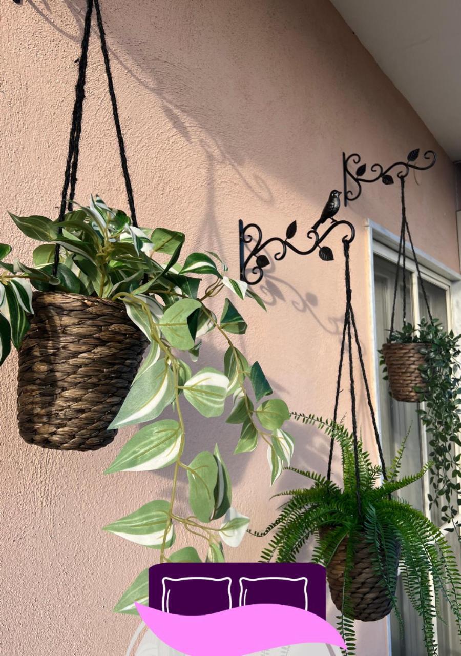 B&B Anastasia Pompei Dış mekan fotoğraf